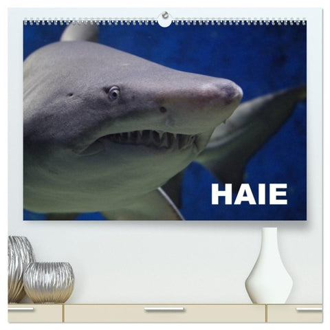 Haie (hochwertiger Premium Wandkalender 2027 DIN A2 quer), Kunstdruck in Hochglanz