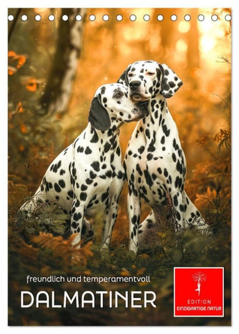 Dalmatiner - freundlich und temperamentvoll (Tischkalender 2027 DIN A5 hoch), CALVENDO Monatskalender