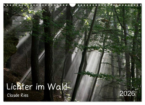 Lichter im Wald (Wandkalender 2026 DIN A3 quer), CALVENDO Monatskalender