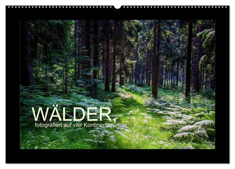 Wälder, fotografiert auf vier Kontinenten (Wandkalender 2026 DIN A2 quer), CALVENDO Monatskalender