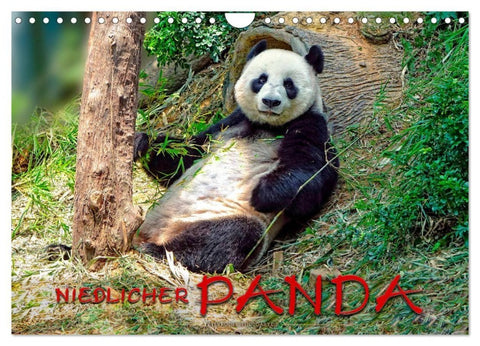 Niedlicher Panda (Wandkalender 2027 DIN A4 quer), CALVENDO Monatskalender