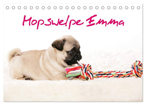 Mopswelpe Emma (Tischkalender 2026 DIN A5 quer), CALVENDO Monatskalender