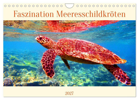 Faszination Meeresschildkröten (Wandkalender 2027 DIN A4 quer), CALVENDO Monatskalender
