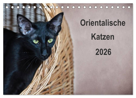 Orientalische Katzen (Tischkalender 2026 DIN A5 quer), CALVENDO Monatskalender