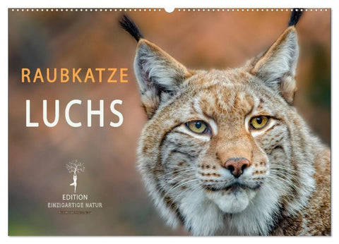 Raubkatze Luchs (Wandkalender 2027 DIN A2 quer), CALVENDO Monatskalender