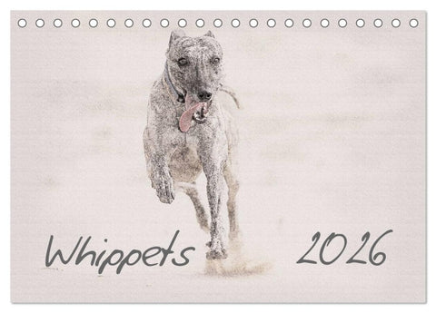 Whippet 2026 (Tischkalender 2026 DIN A5 quer), CALVENDO Monatskalender