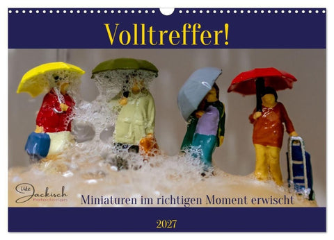 Volltreffer! (Wandkalender 2027 DIN A3 quer), CALVENDO Monatskalender