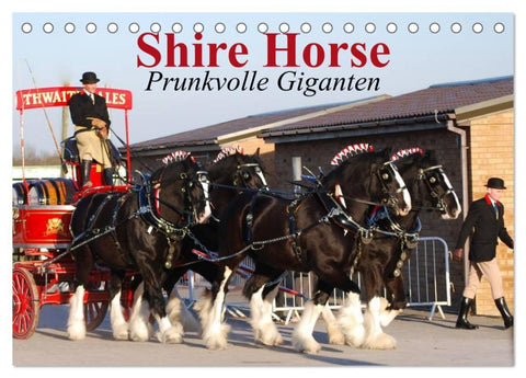 Shire Horse ¿ Prunkvolle Giganten (Tischkalender 2026 DIN A5 quer), CALVENDO Monatskalender