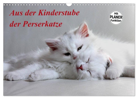 Aus der Kinderstube der Perserkatze (Wandkalender 2027 DIN A3 quer), CALVENDO Monatskalender