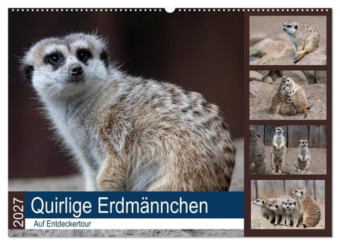 Quirlige Erdmännchen (Wandkalender 2027 DIN A2 quer), CALVENDO Monatskalender