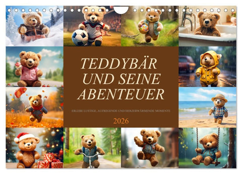 Teddybär und seine Abenteuer (Wandkalender 2026 DIN A4 quer), CALVENDO Monatskalender