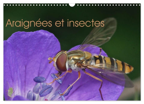 Araignées et insectes (Calendrier mural 2027 DIN A3 vertical), CALVENDO calendrier mensuel