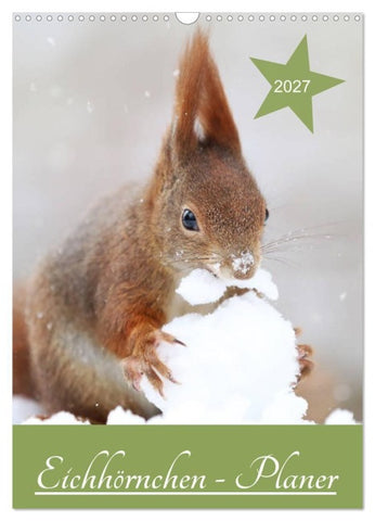 Eichhörnchen - Planer (Wandkalender 2027 DIN A3 hoch), CALVENDO Monatskalender