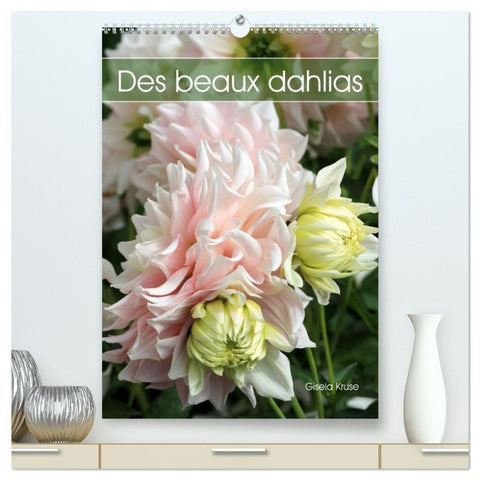 Des beaux dahlias  (Calendrier mural 2026 DIN A2 horizontal) calendrier de bureau