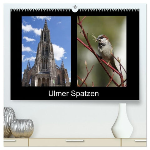 Ulmer Spatzen (hochwertiger Premium Wandkalender 2027 DIN A2 quer), Kunstdruck in Hochglanz