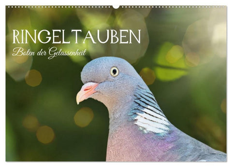 Ringeltauben, Boten der Gelassenheit (Wandkalender 2027 DIN A2 quer), CALVENDO Monatskalender