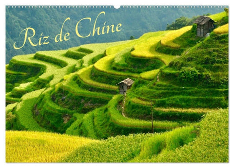 Riz de Chine (Calendrier mural 2027 DIN A2 vertical), CALVENDO calendrier mensuel