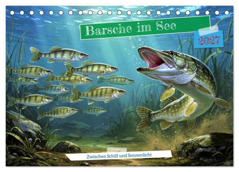Barsche im See (Tischkalender 2027 DIN A5 quer), CALVENDO Monatskalender