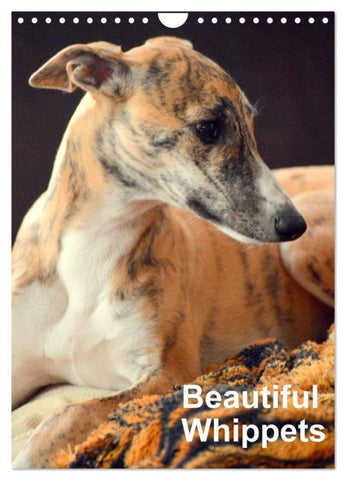 Beautiful Whippets (Wall Calendar 2027 DIN A4 portrait), CALVENDO 12 Month Wall Calendar
