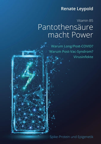 Pantothensäure B5 macht Power