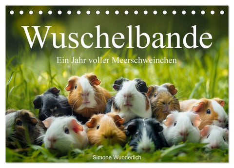 Wuschelbande - Ein Jahr voller Meerschweinchen (Tischkalender 2026 DIN A5 quer), CALVENDO Monatskalender