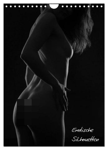 Erotische Silhouetten / CH-Version (Wandkalender 2027 DIN A4 hoch), CALVENDO Monatskalender