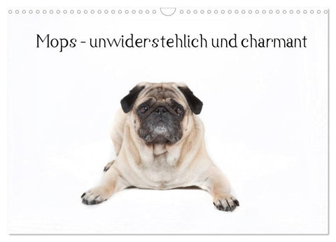Mops - unwiderstehlich und charmant (Wandkalender 2026 DIN A3 quer), CALVENDO Monatskalender