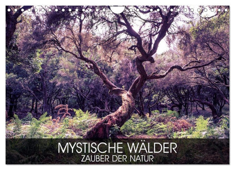 Mystische Wälder - Zauber der Natur (Wandkalender 2026 DIN A4 quer), CALVENDO Monatskalender
