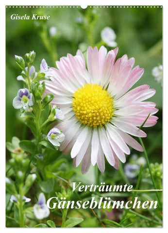 Verträumte Gänseblümchen (Wandkalender 2027 DIN A2 hoch), CALVENDO Monatskalender