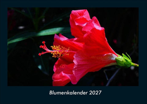 Blumenkalender 2027 Fotokalender DIN A4