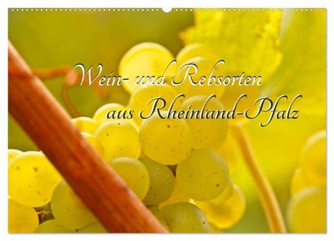 Wein- und Rebsorten aus Rheinland-Pfalz (Wandkalender 2027 DIN A2 quer), CALVENDO Monatskalender