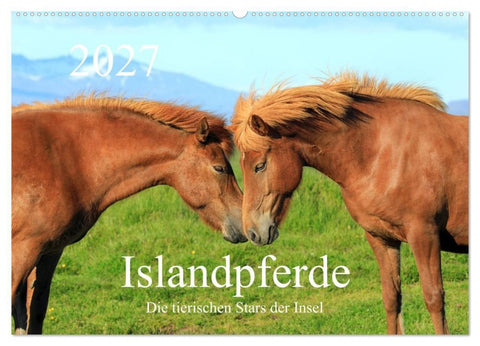 Islandpferde - Die tierischen Stars der Insel (Wandkalender 2027 DIN A2 quer), CALVENDO Monatskalender
