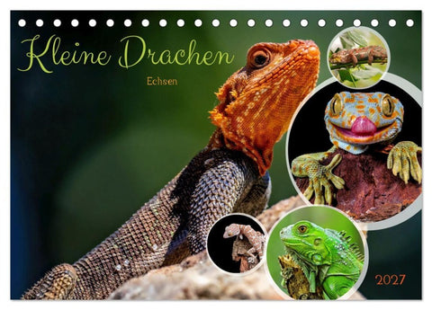 Kleine Drachen - Echsen (Tischkalender 2027 DIN A5 quer), CALVENDO Monatskalender