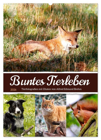 Buntes Tierleben (Wandkalender 2026 DIN A2 hoch), CALVENDO Monatskalender