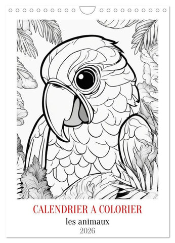Calendrier à colorier (Calendrier mural 2026 DIN A4 horizontal), CALVENDO calendrier mensuel