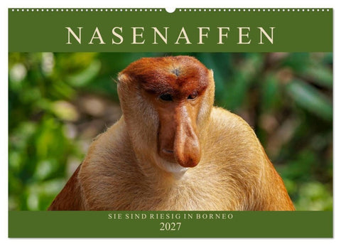Nasenaffen von Borneo (Wandkalender 2027 DIN A2 quer), CALVENDO Monatskalender