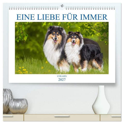 Eine Liebe für immer - Collies (hochwertiger Premium Wandkalender 2027 DIN A2 quer), Kunstdruck in Hochglanz