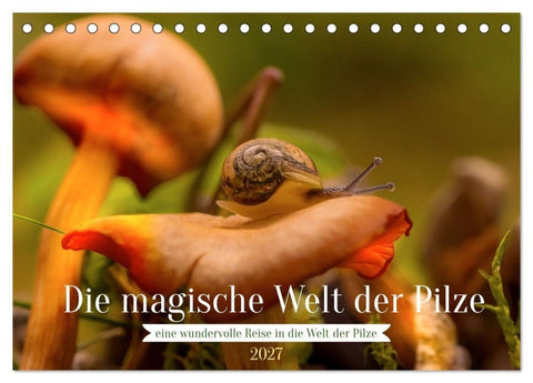 Die magische Welt der Pilze (Tischkalender 2027 DIN A5 quer), CALVENDO Monatskalender