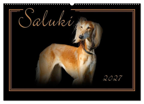 Saluki 2027 (Wandkalender 2027 DIN A2 quer), CALVENDO Monatskalender
