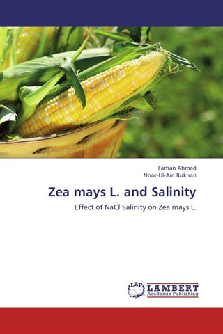 Zea mays L. and Salinity