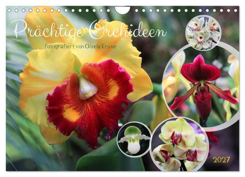 Prächtige Orchideen (Wandkalender 2027 DIN A4 quer), CALVENDO Monatskalender