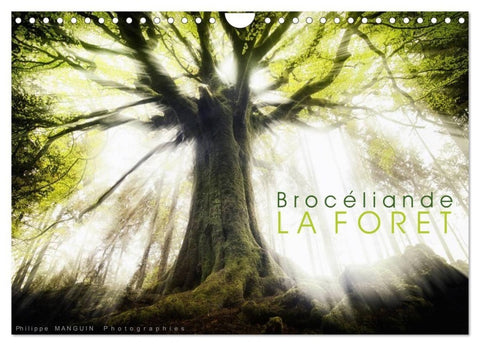 BROCELIANDE, la forêt (Calendrier mural 2027 DIN A4 vertical), CALVENDO calendrier mensuel