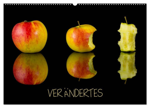 Verändertes (Wandkalender 2026 DIN A2 quer), CALVENDO Monatskalender