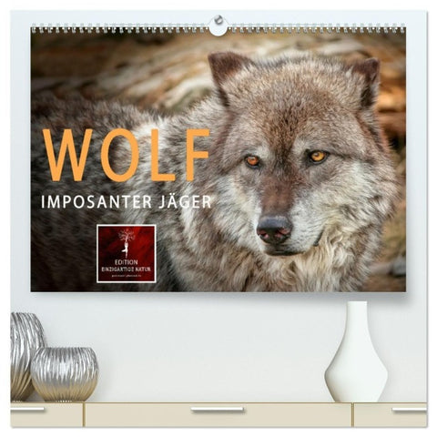 Wolf - Imposanter Jäger (hochwertiger Premium Wandkalender 2027 DIN A2 quer), Kunstdruck in Hochglanz