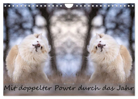 Mit doppelter Power durch das Jahr (Wandkalender 2027 DIN A4 quer), CALVENDO Monatskalender