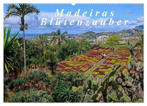 Madeiras Blütenzauber (Wandkalender 2027 DIN A2 quer), CALVENDO Monatskalender