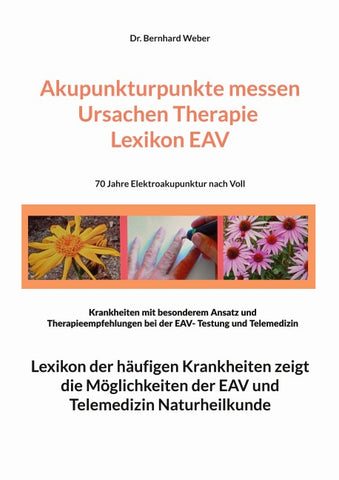 Akupunkturpunkte messen Ursachen Therapie Lexikon EAV