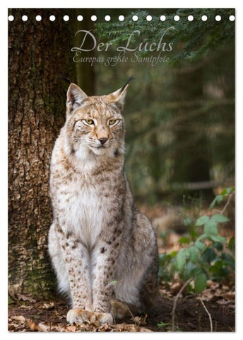 Der Luchs - Europas größte Samtpfote (Tischkalender 2027 DIN A5 hoch), CALVENDO Monatskalender