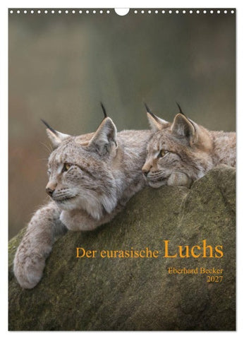 Der eurasische Luchs (Wandkalender 2027 DIN A3 hoch), CALVENDO Monatskalender