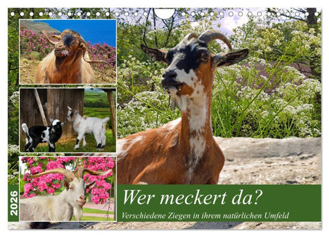 Wer meckert da? (Wandkalender 2026 DIN A4 quer), CALVENDO Monatskalender